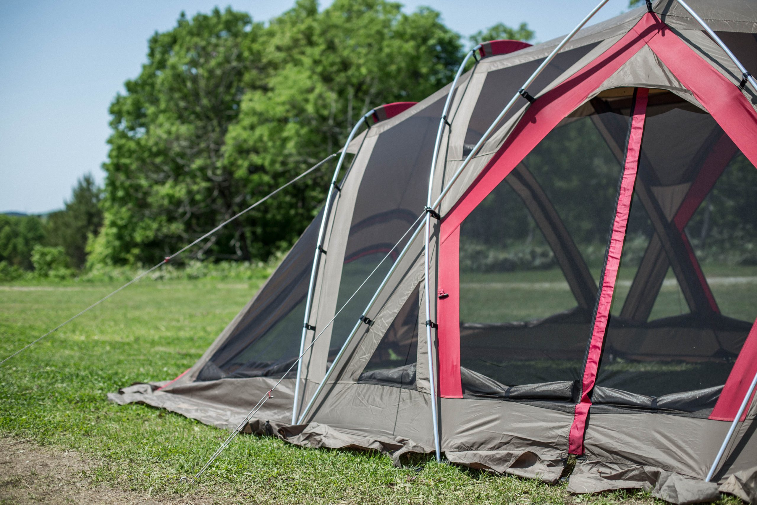 Living Shell Long Pro. - Image 5