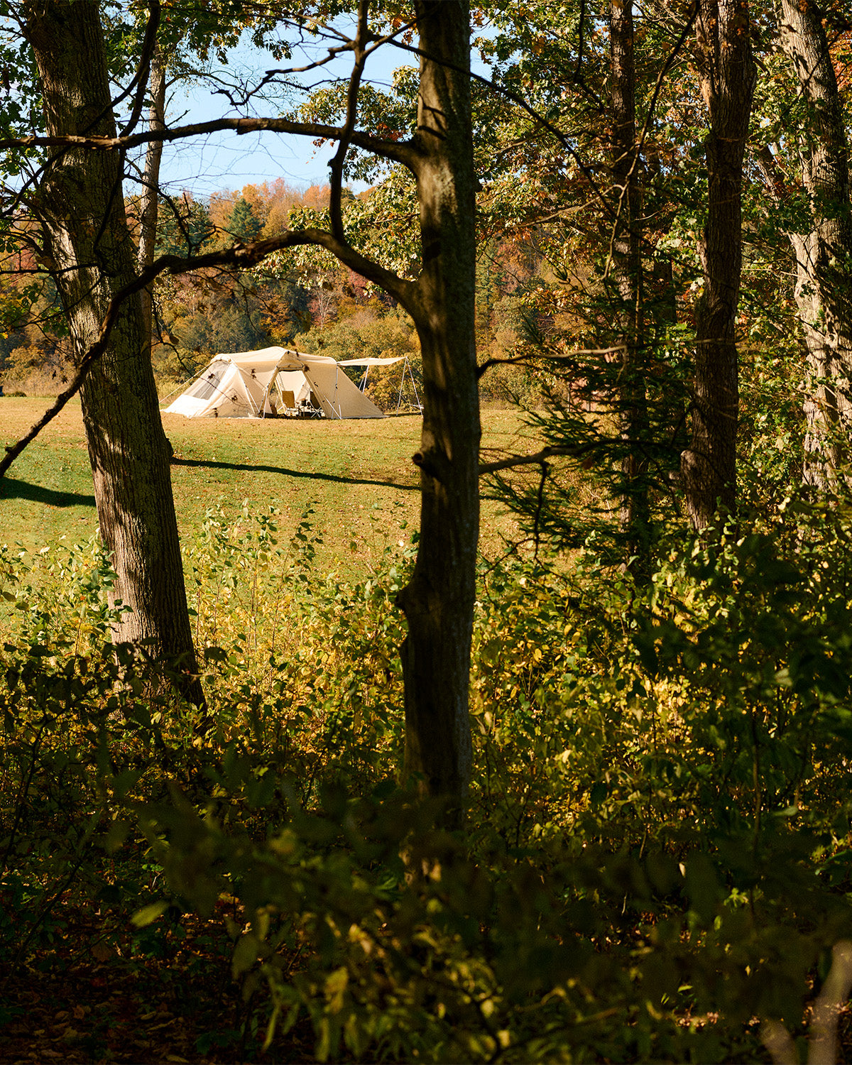Land Nest Shelter in Ivory - Image 13