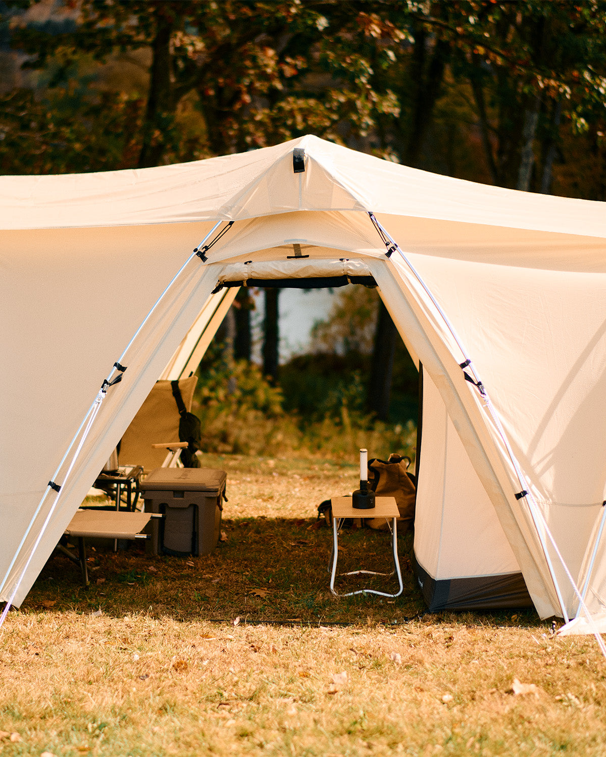 Land Nest Shelter in Ivory - Image 3