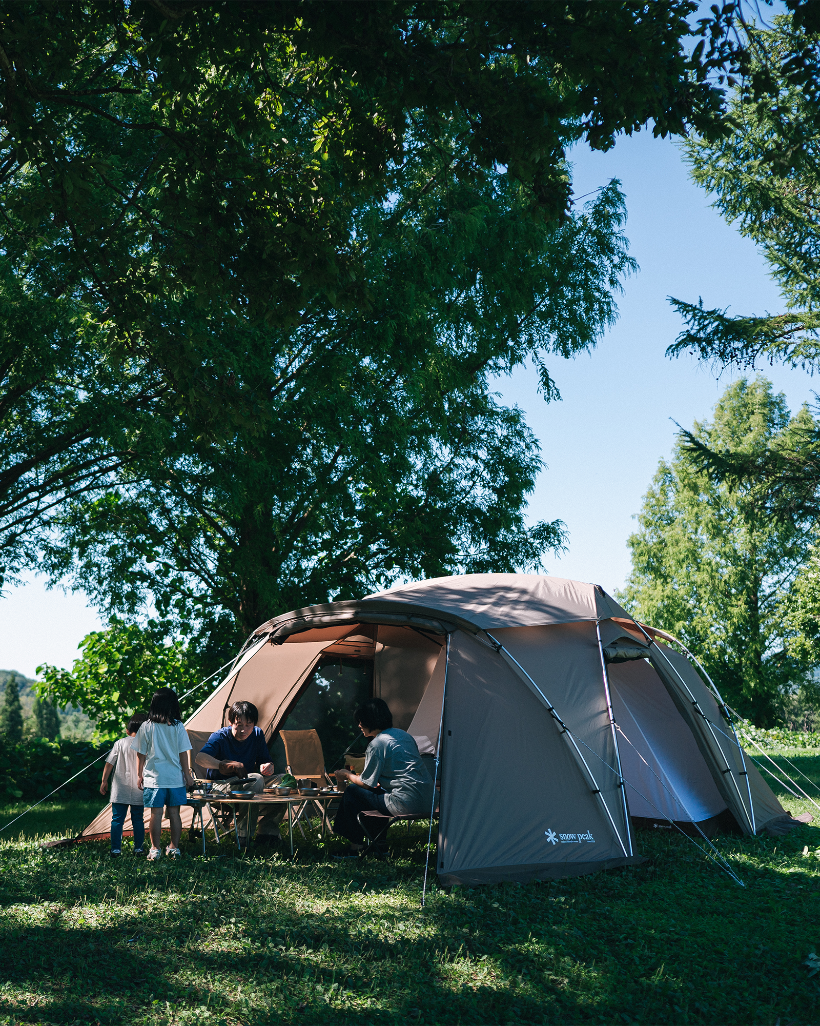 Land Nest Shelter - Image 8
