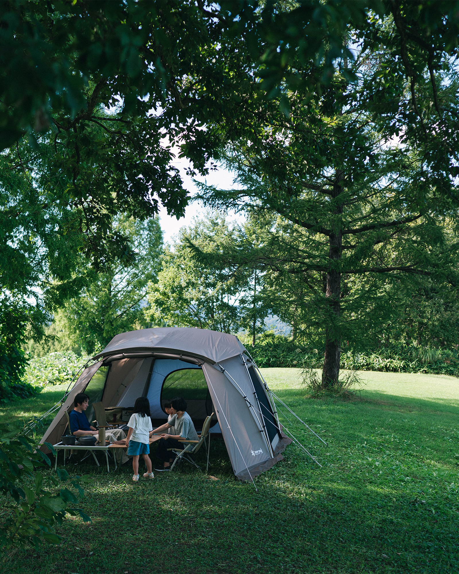 Land Nest Shelter - Image 5