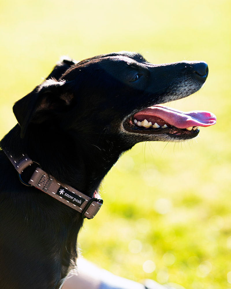 SP Slip Collar - Image 3